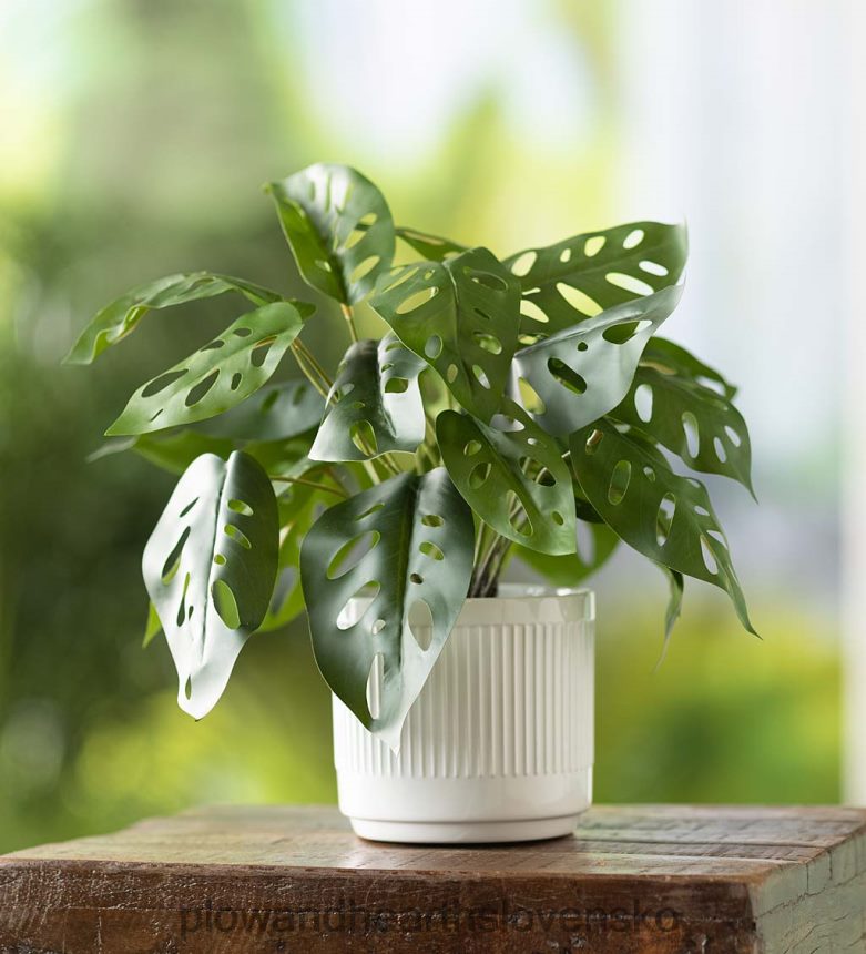 Plow & Hearth faux real monstera umelá rastlina v kvetináči 6P208P2404 domáce potreby