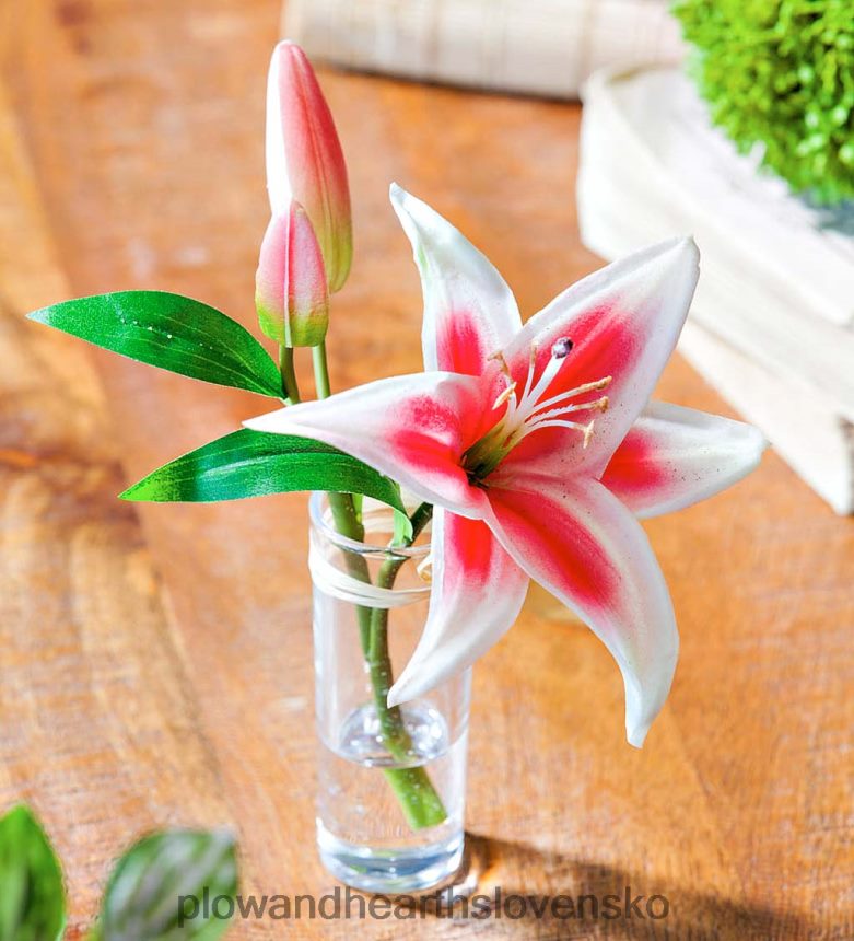 Plow & Hearth vyzerá skutočne, pôsobí ako skutočné hviezdne ľalie, sada 3 kusov 6P208P2361 domáce potreby