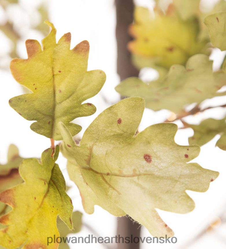 Plow & Hearth vnútorné/vonkajšie elektrické osvetlené machové duby 6P208P1587 domáce potreby