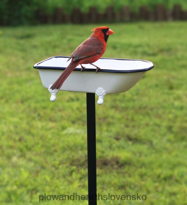 Plow & Hearth Splash splash birdbath, mosadz s bielou povrchovou úpravou - biela 6P208P847 dvor a záhrada