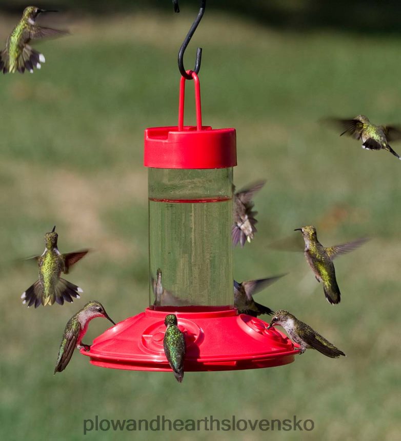 Plow & Hearth DR. 16-uncový podávač kolibríkov od jb vhodný do umývačky riadu 6P208P775 dvor a záhrada