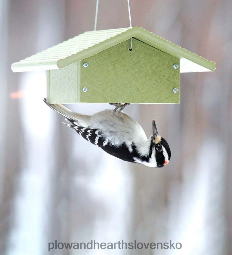 Plow & Hearth Recyklovaný plastový poly-rezivo obrátený podávač lojov 6P208P737 dvor a záhrada