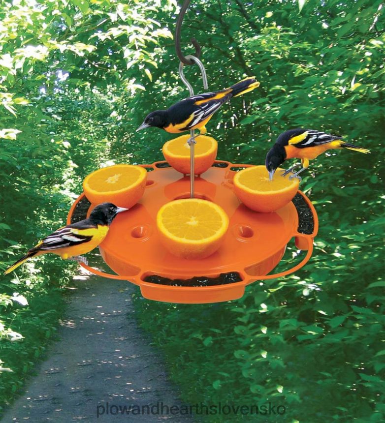 Plow & Hearth dokonalé kŕmidlo pre vtáky s ovocím, želé a nektárom 6P208P759 dvor a záhrada