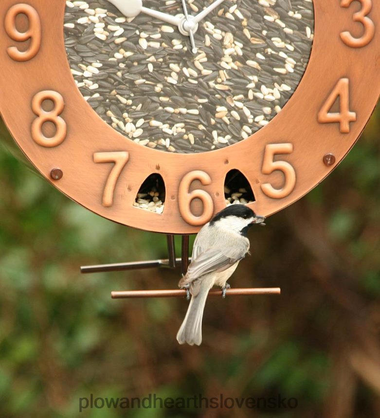 Plow & Hearth medené a plexisklo hodiny-motív vtáčie kŕmidlo 6P208P821 dvor a záhrada