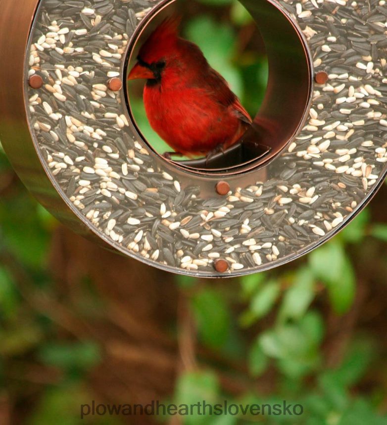 Plow & Hearth medené kŕmidlo pre vtáčiky 6P208P799 dvor a záhrada