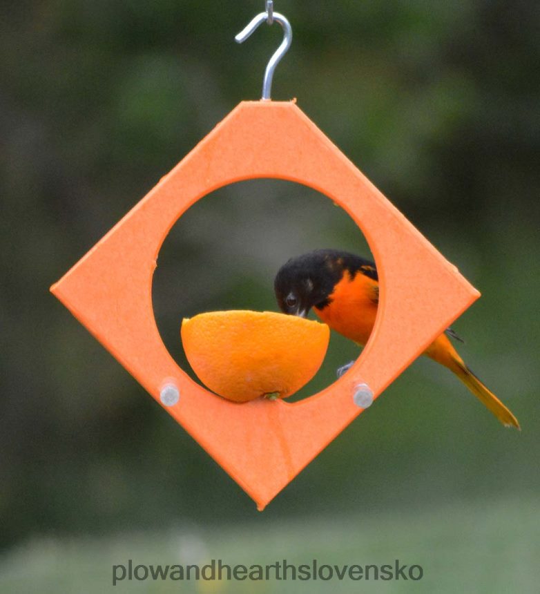 Plow & Hearth recyklované plastové žluvy diamantové kŕmidlo na ovocie 6P208P809 dvor a záhrada