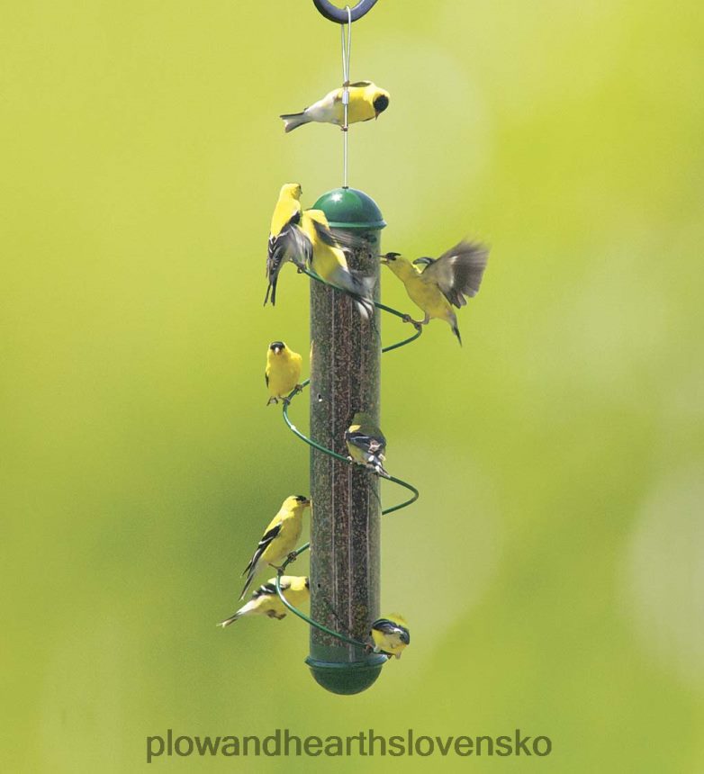 Plow & Hearth zelená špirála-ostriež kŕmidlo pre vtáky - zelená 6P208P810 dvor a záhrada