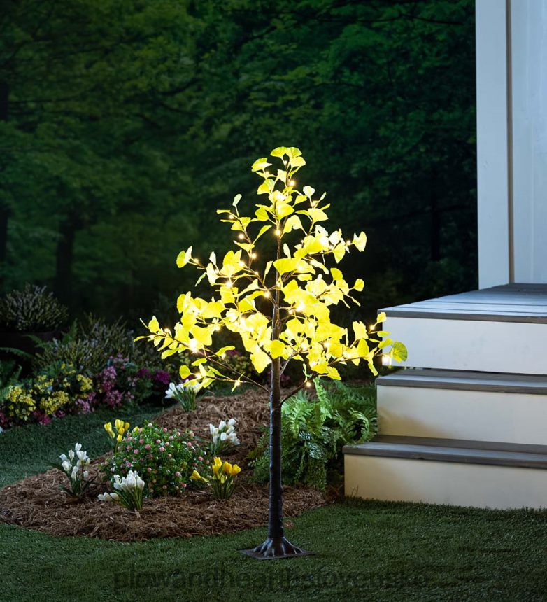 Plow & Hearth vnútorné/vonkajšie elektrické osvetlené zelené ginkgo stromy 6P208P224 dvor a záhrada