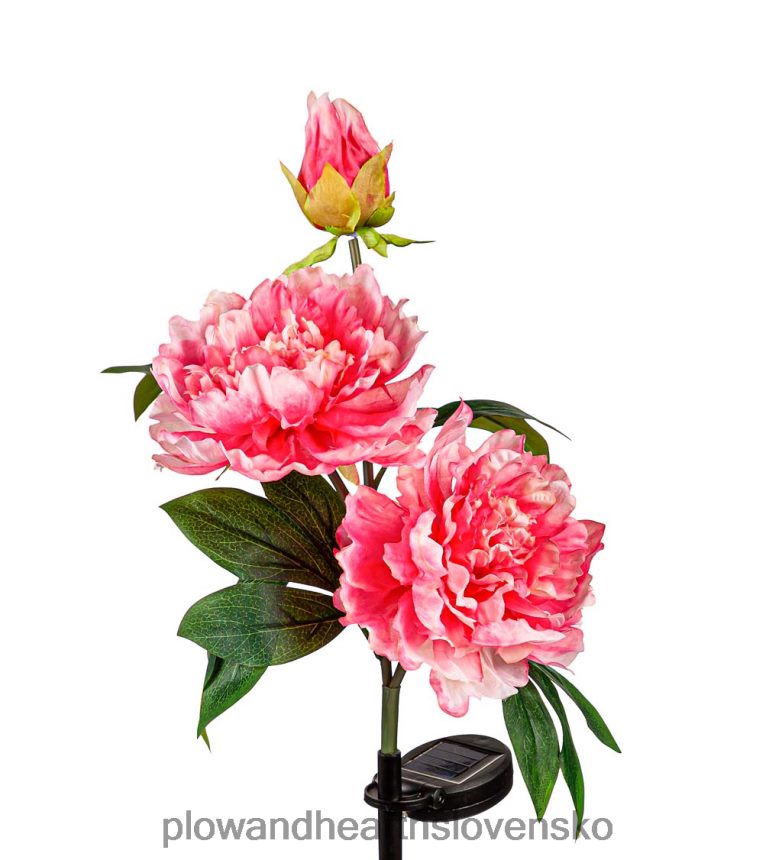 Plow & Hearth tmavoružová pivónia solárny záhradný kôl 6P208P153 dvor a záhrada