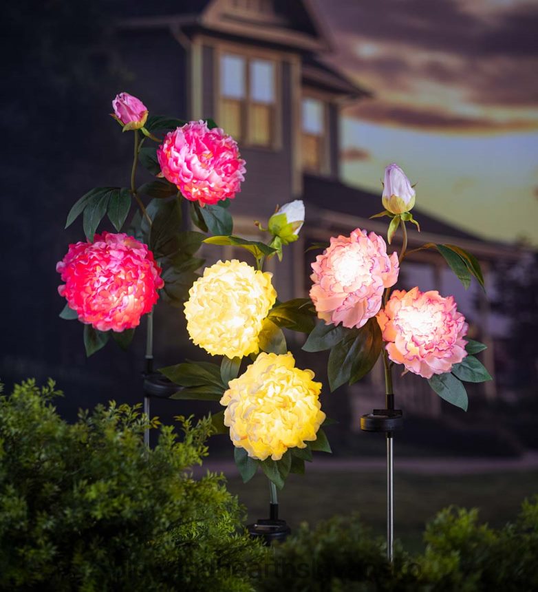 Plow & Hearth tmavoružová pivónia solárny záhradný kôl 6P208P153 dvor a záhrada