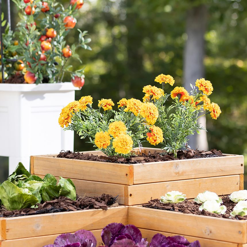 Plow & Hearth drevený štvorkocový samostatný vyvýšený záhradný kvetináč 6P208P909 dvor a záhrada