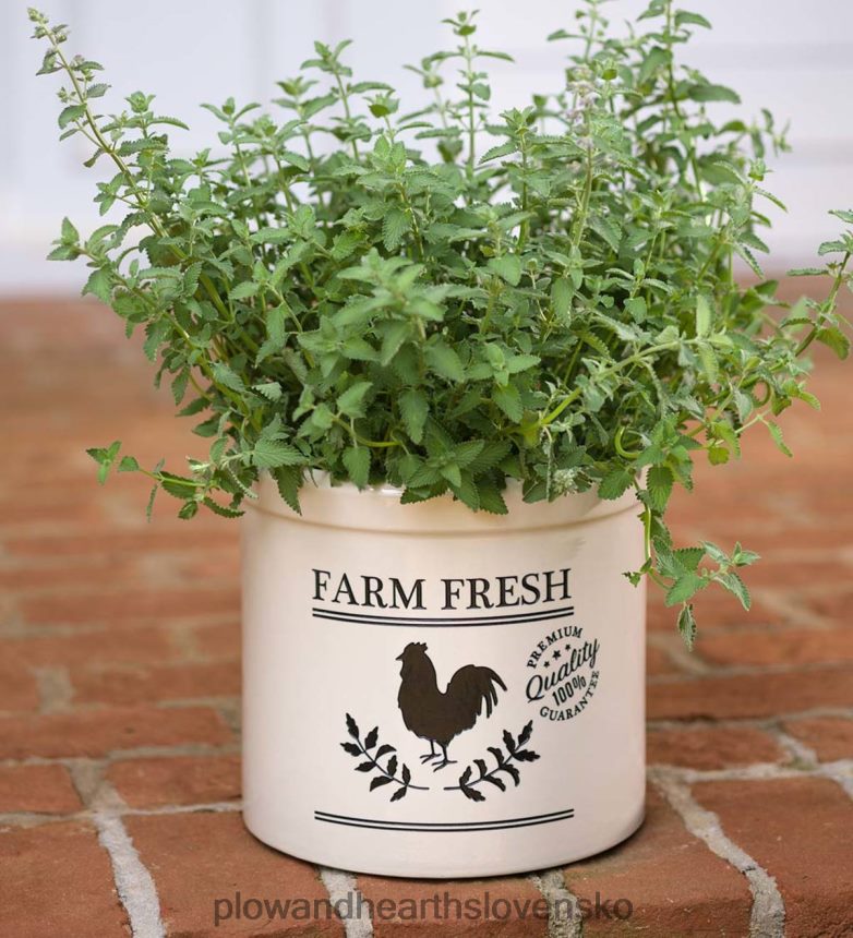 Plow & Hearth farmársky čerstvý kohút kameninová hlina - modrá 6P208P953 dvor a záhrada