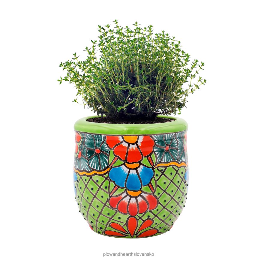 Plow & Hearth stredná zelená talaverová kvetináč 6P208P955 dvor a záhrada