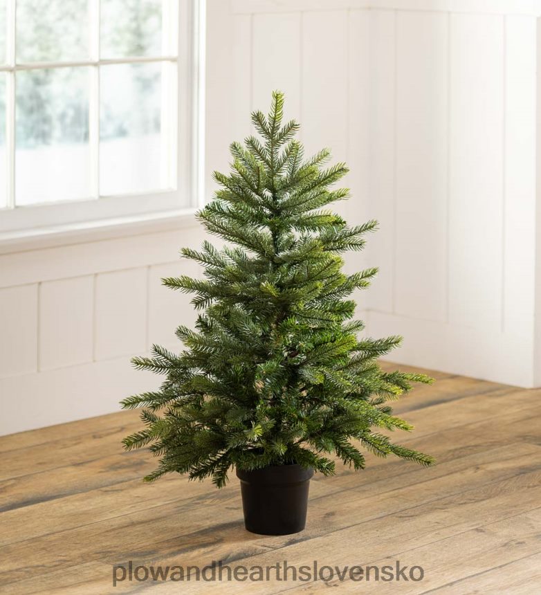 Plow & Hearth jedľa grandis črepníkový vianočný stromček 6P208P2140 sezónne a darčeky